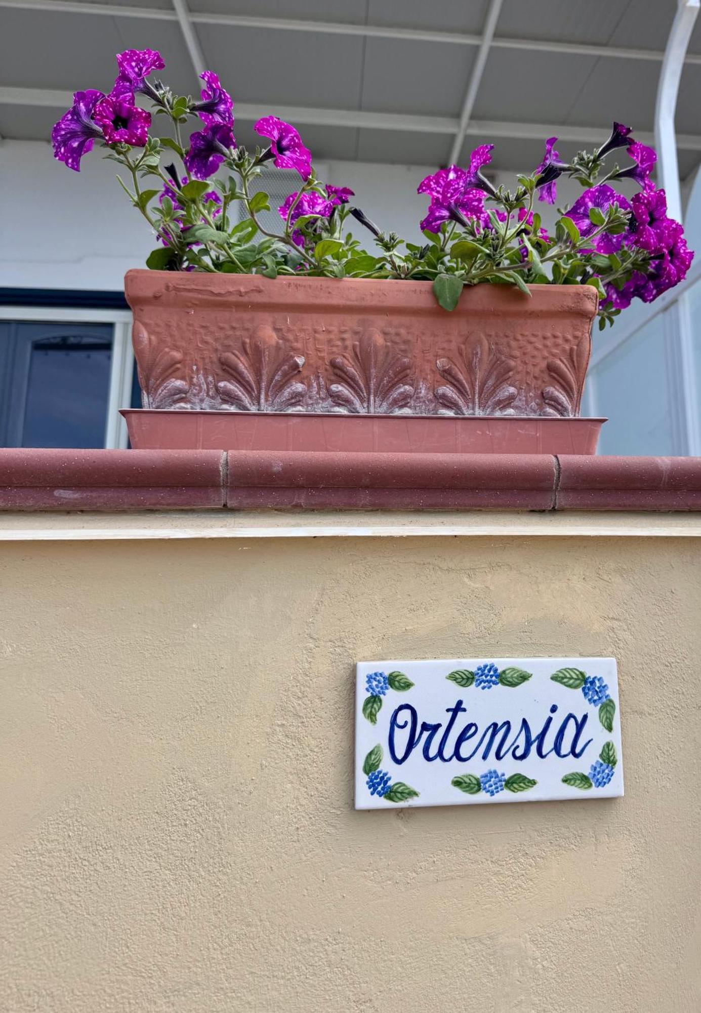 Il Profumo Dei Fiori Apartment Праяно Екстериор снимка